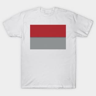 Superhero Minimalist Colors M-T T-Shirt